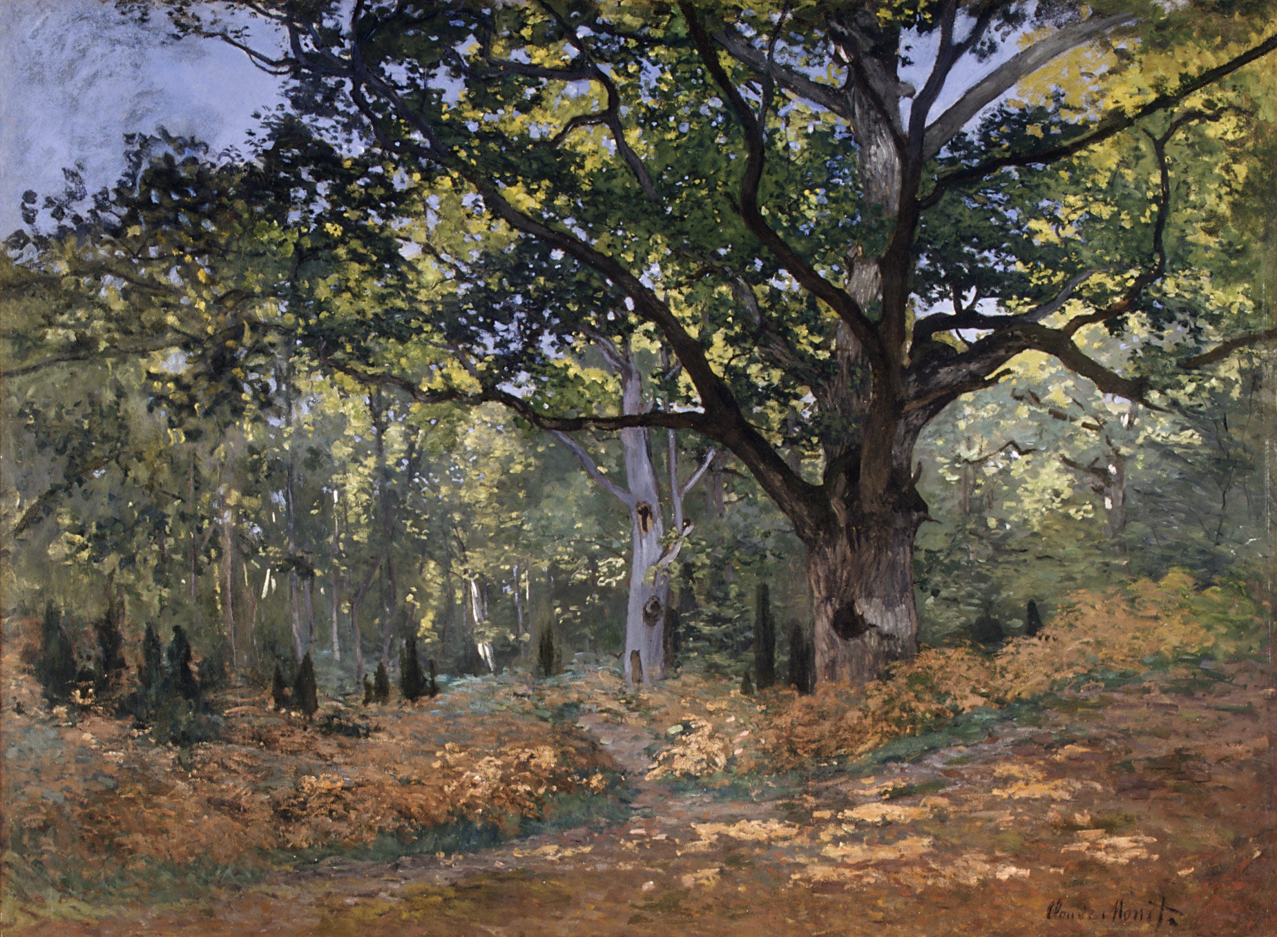Die Bodmer-Eiche, die Straße von Chailly - Claude Monet