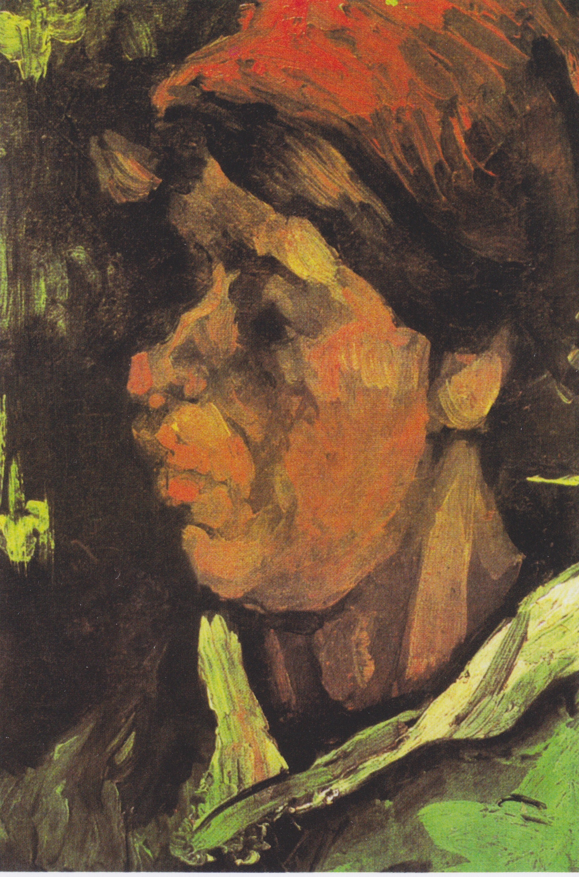 Kopf einer holländischen Bäuerin - Vincent van Gogh