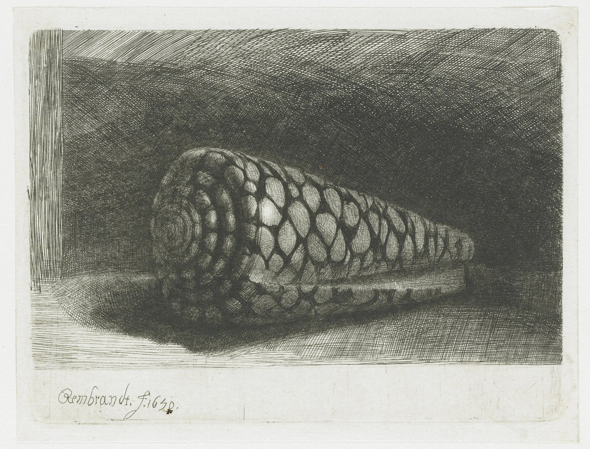 Rembrandt, Le Coquillage, deuxième état sur fond sombre, eau-forte de 1650
