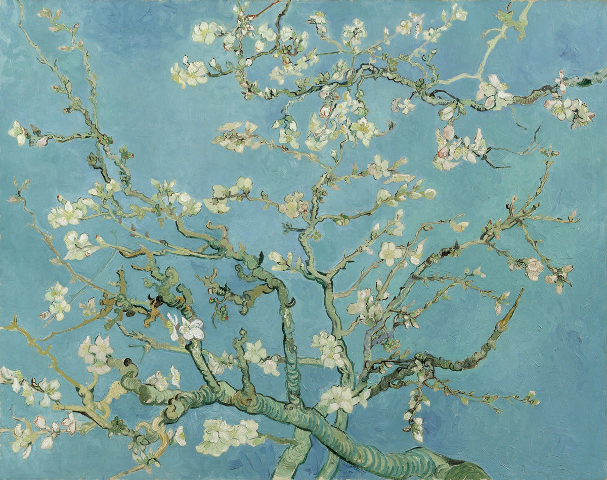 Amandier en fleurs de Vincent van Gogh