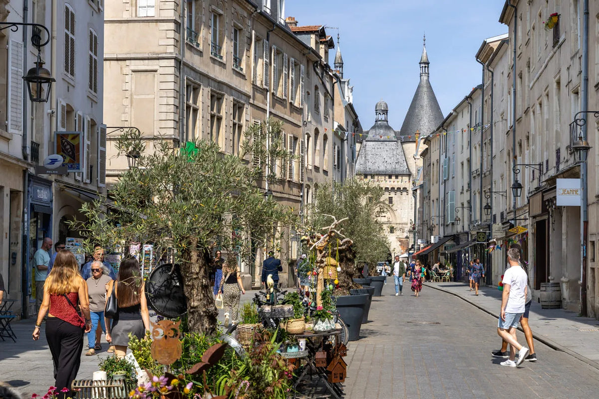 Galeries d’art à Nancy : guide des quartiers artistiques