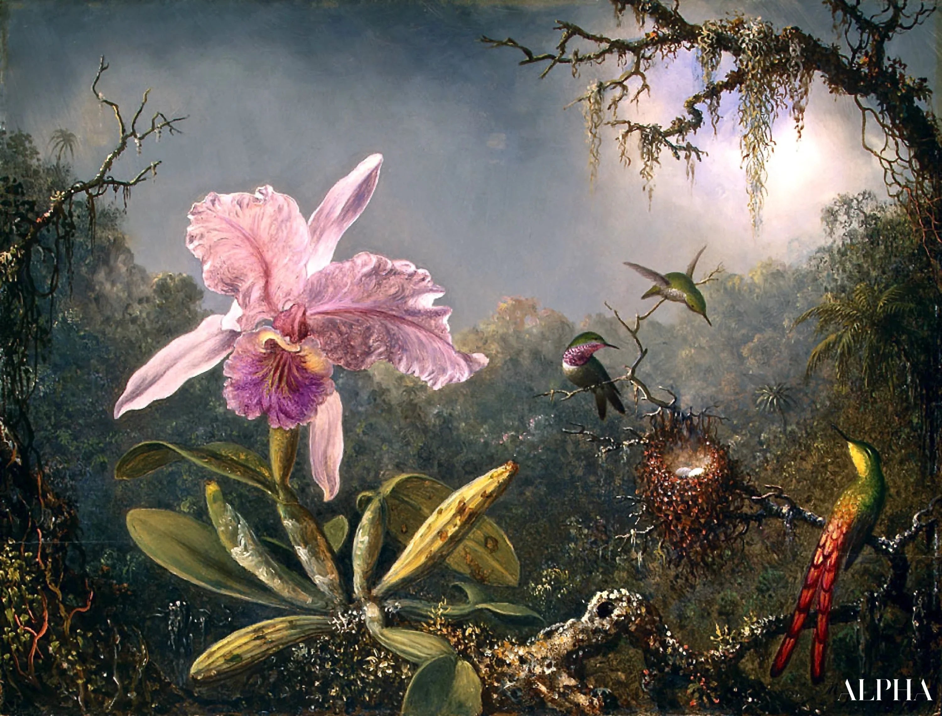 20 Berühmte Gemälde von Martin Johnson Heade