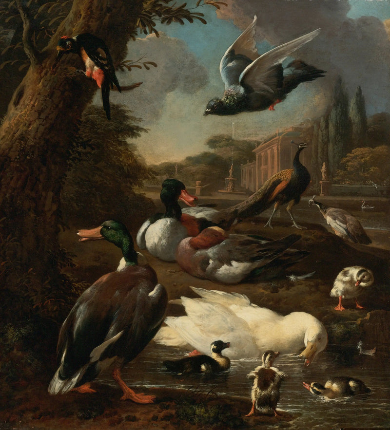 Ein Pfau, eine Taube, Enten und andere Vögel in einem Garten - Melchior de Hondecoeter