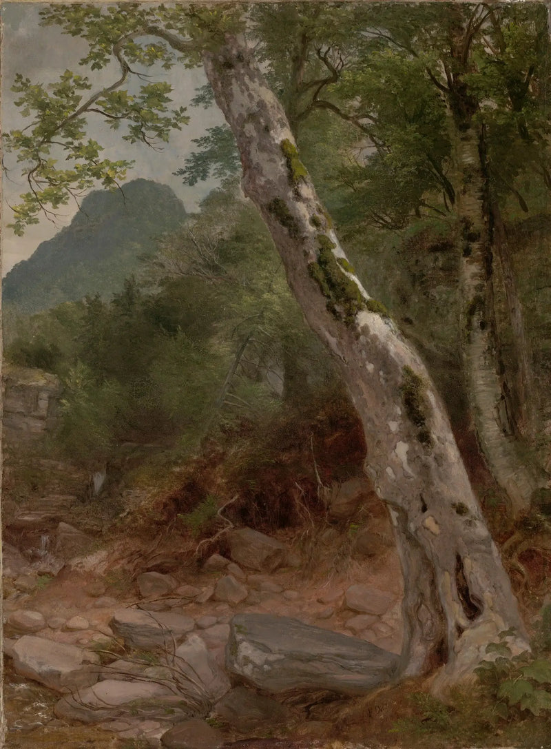 Eine Sykomore, Plaaterkill Clove - Asher Brown Durand