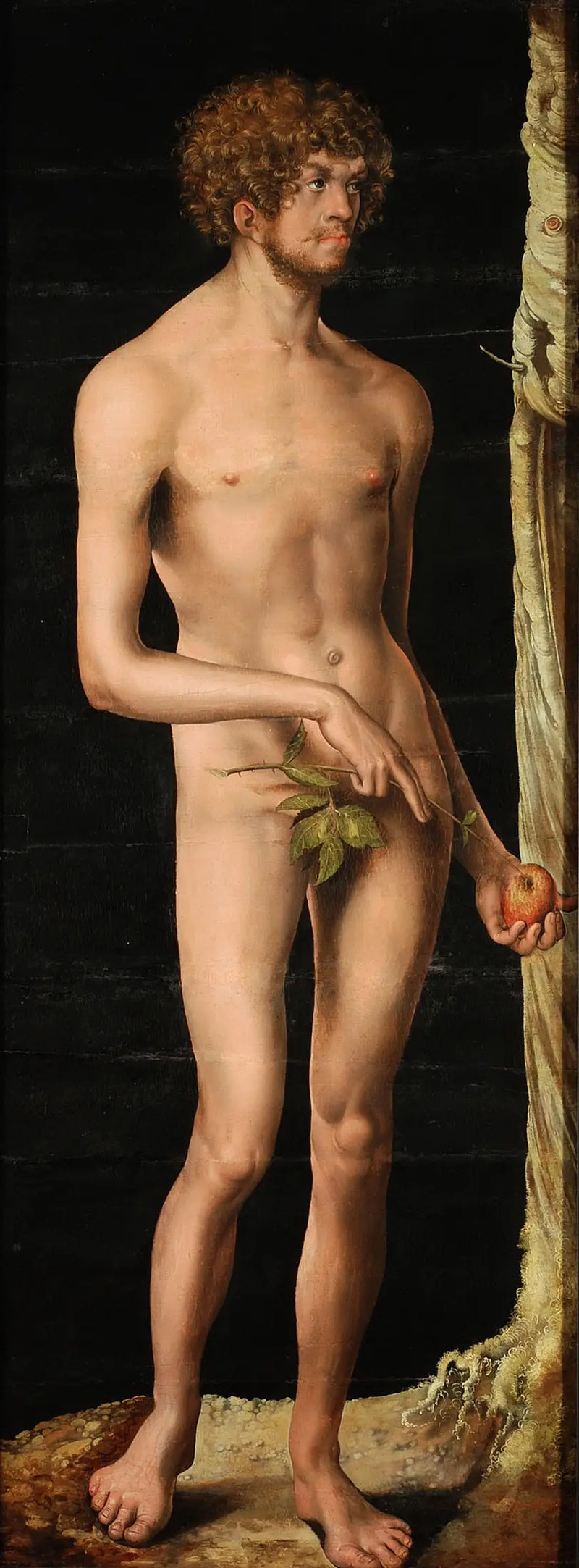 Adam - Lucas Cranach der Ältere