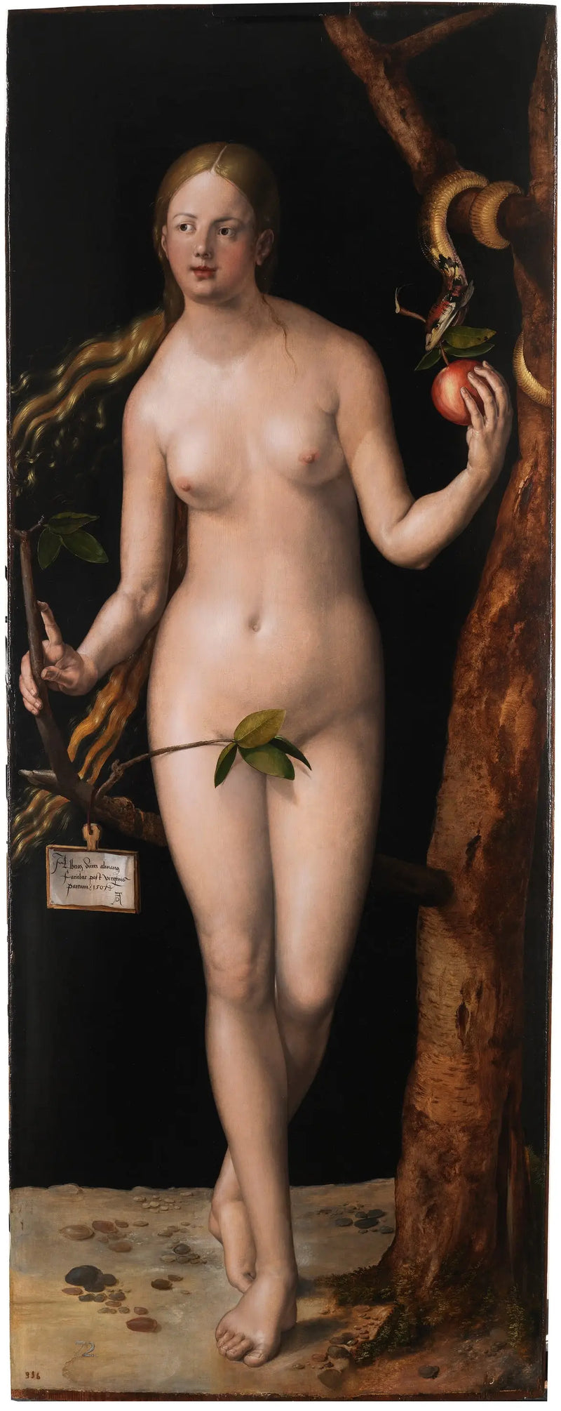 Eva - Albrecht Dürer