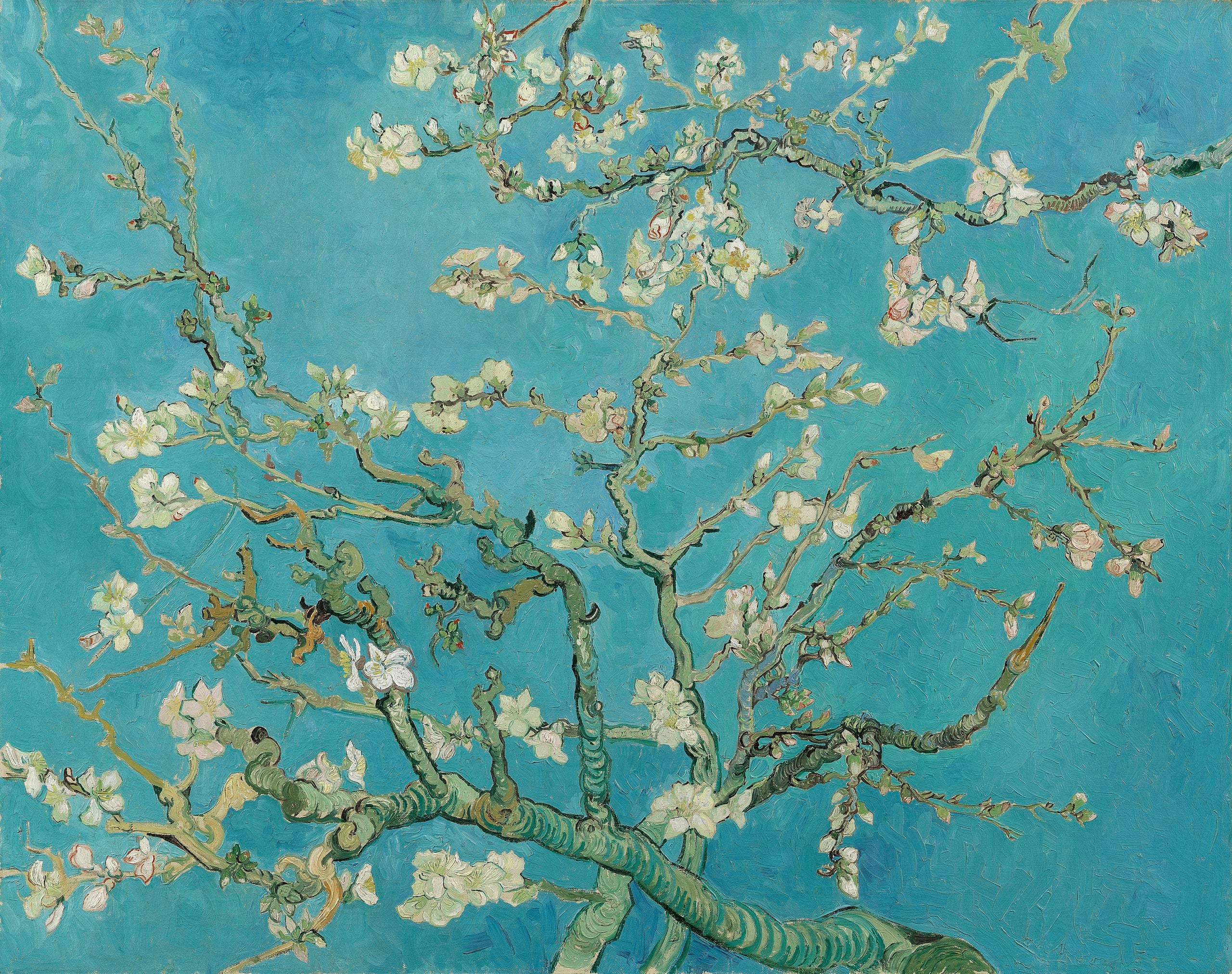 Amandier en fleurs - Vincent van Gogh - Alpha Reproduction