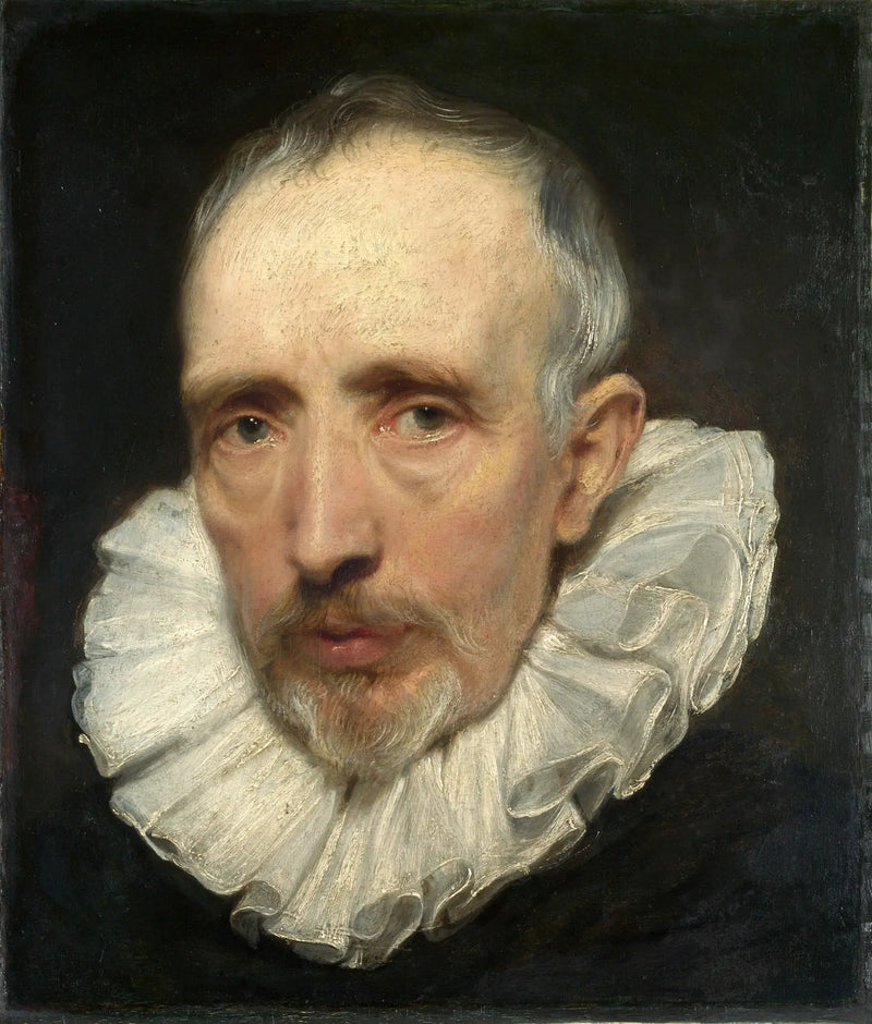 Portrait de Cornelis van der Geest - Antoine van Dyck