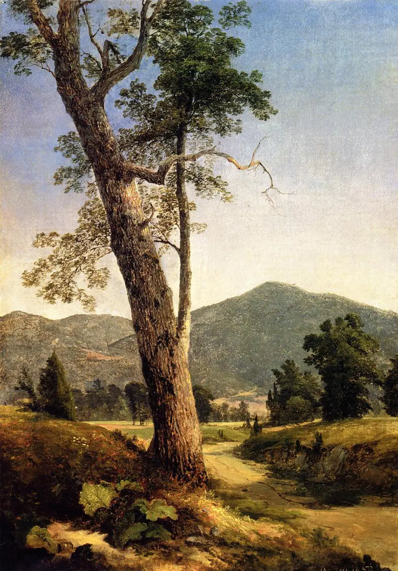 Landschaft jenseits des Baumes - Asher Brown Durand