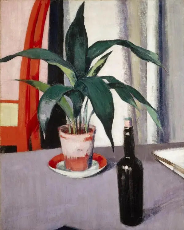 Aspidistra und Flasche auf dem Tisch - Francis Cadell
