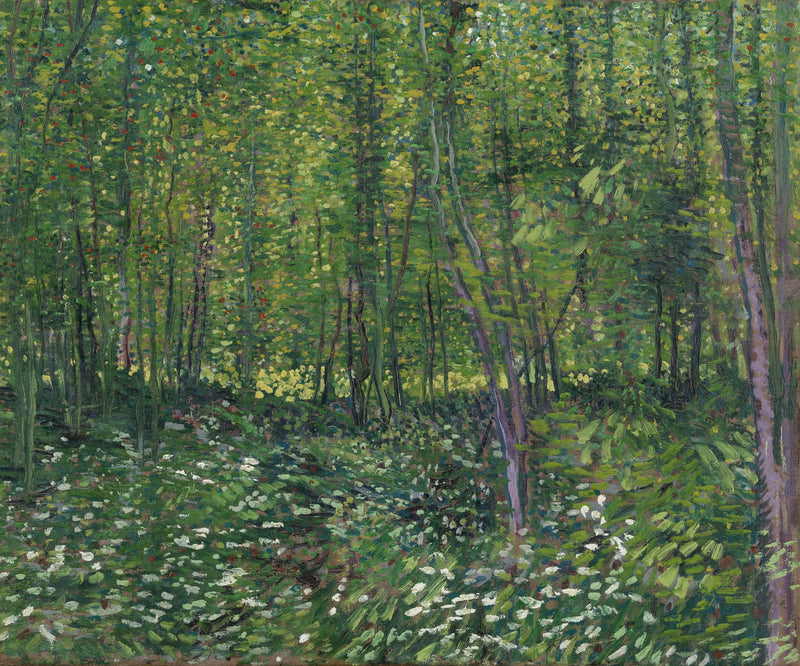 Bäume und Unterholz - Vincent van Gogh