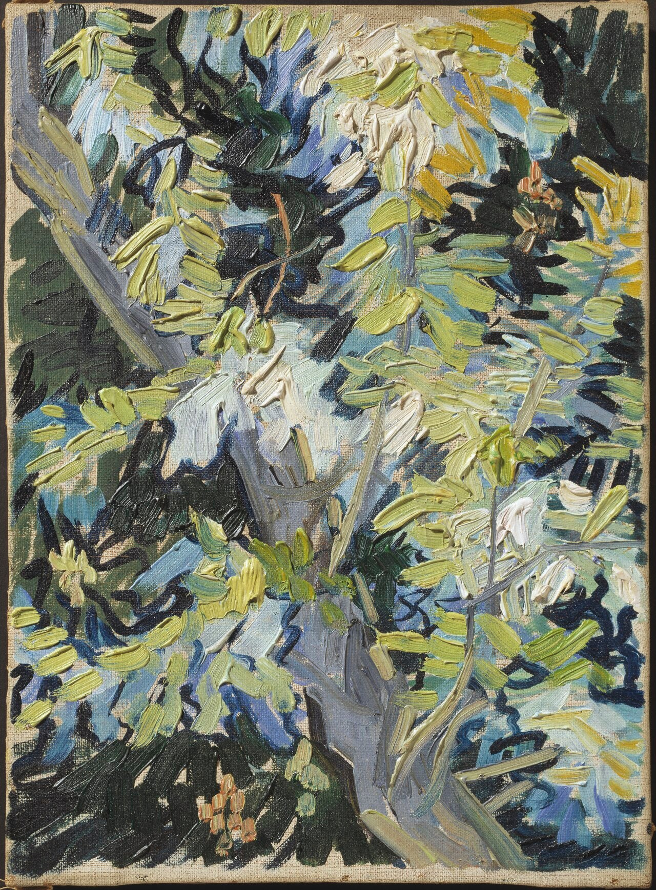 Blühende Akazienzweige - Vincent van Gogh