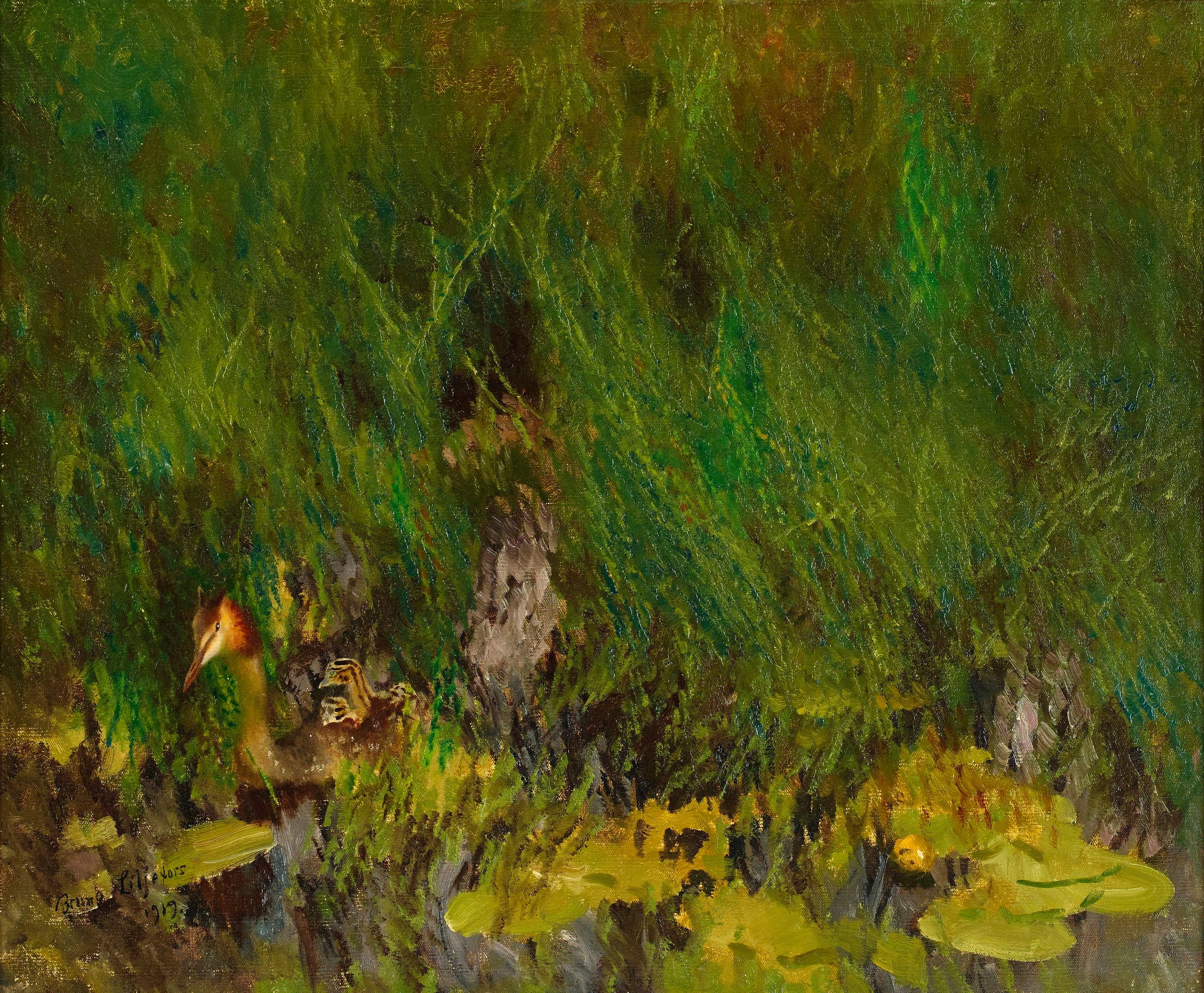 Haubentaucher - Bruno Liljefors