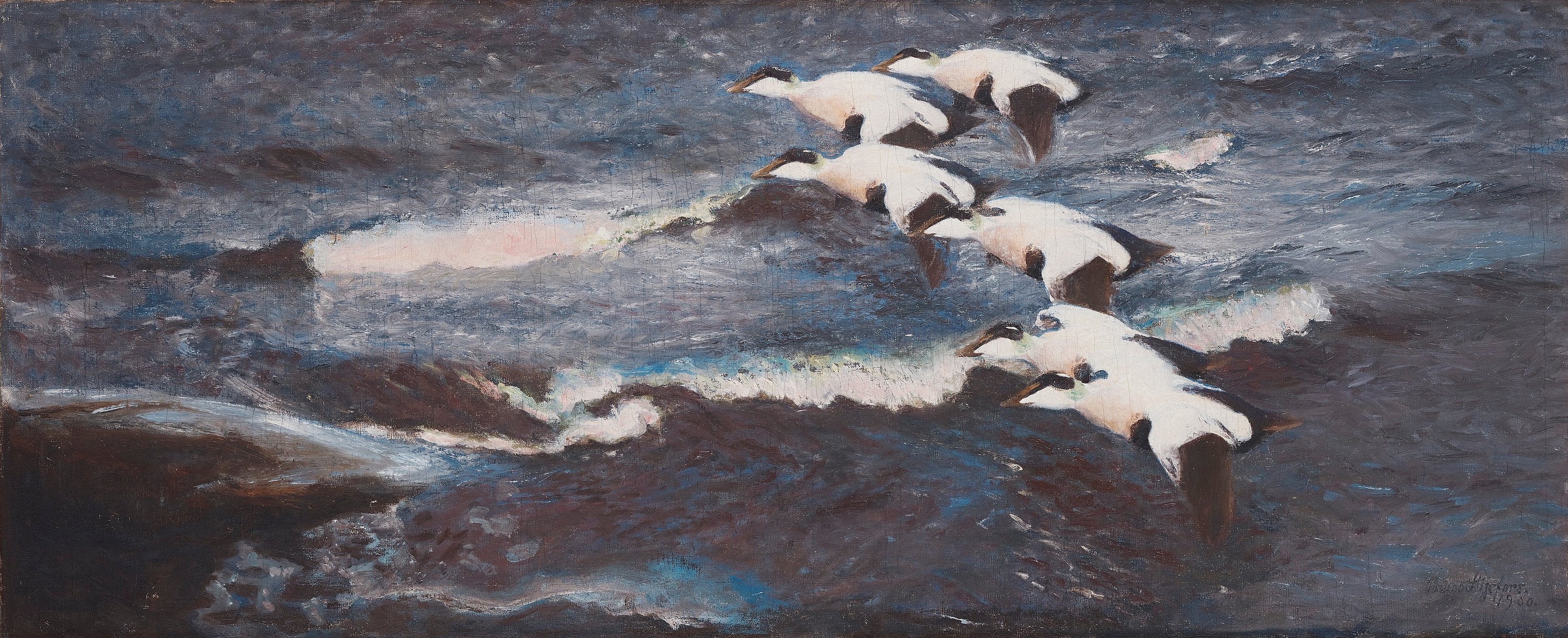 Eiders dans les vagues - Bruno Liljefors