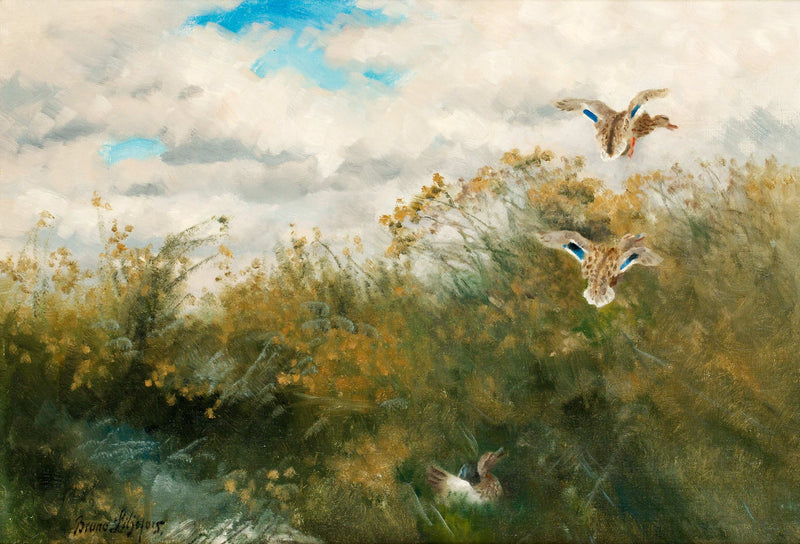 Q135213000 - Bruno Liljefors