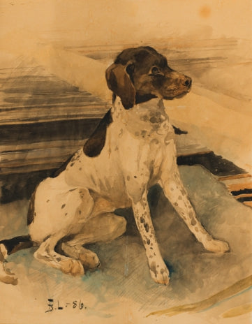 Jagdhund - Bruno Liljefors