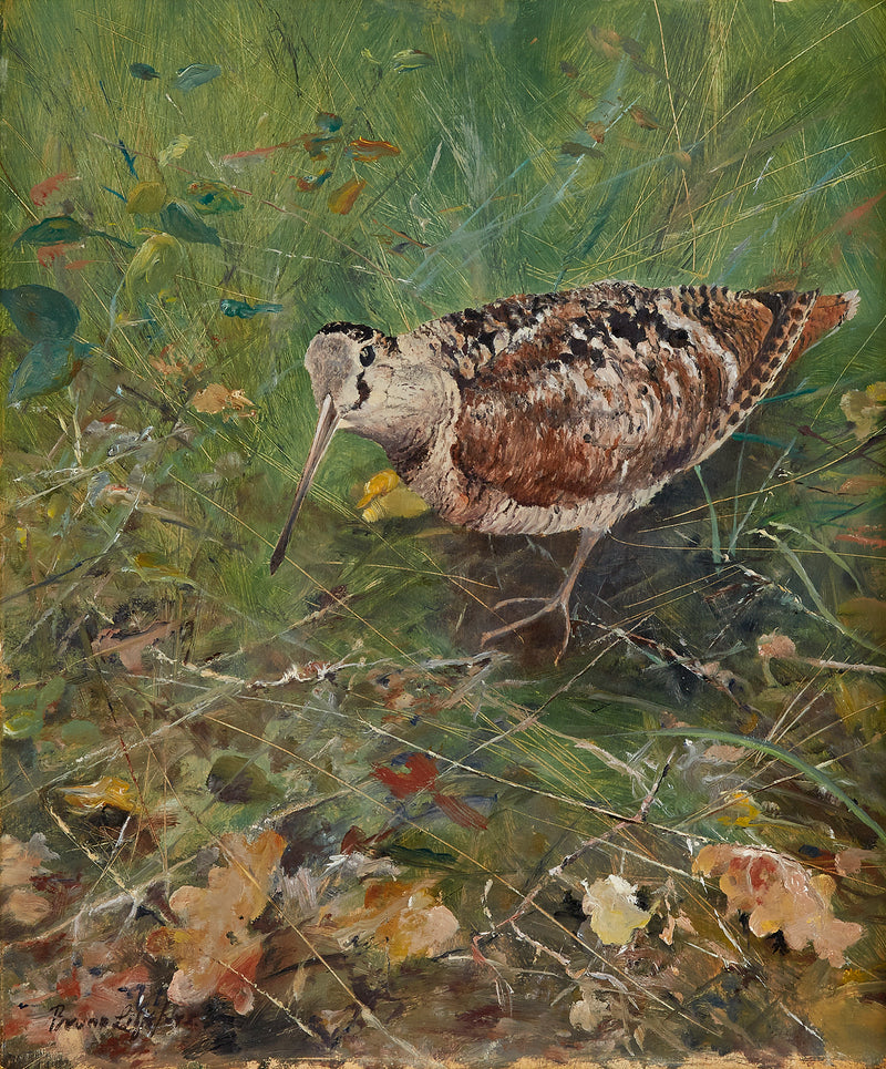 Waldschnepfe - Bruno Liljefors