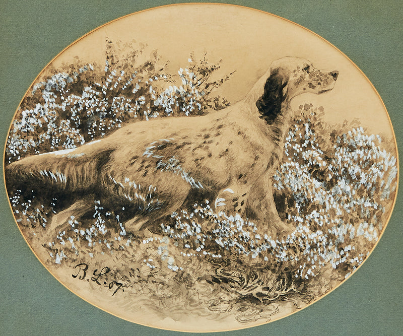 Zuspieler - Bruno Liljefors