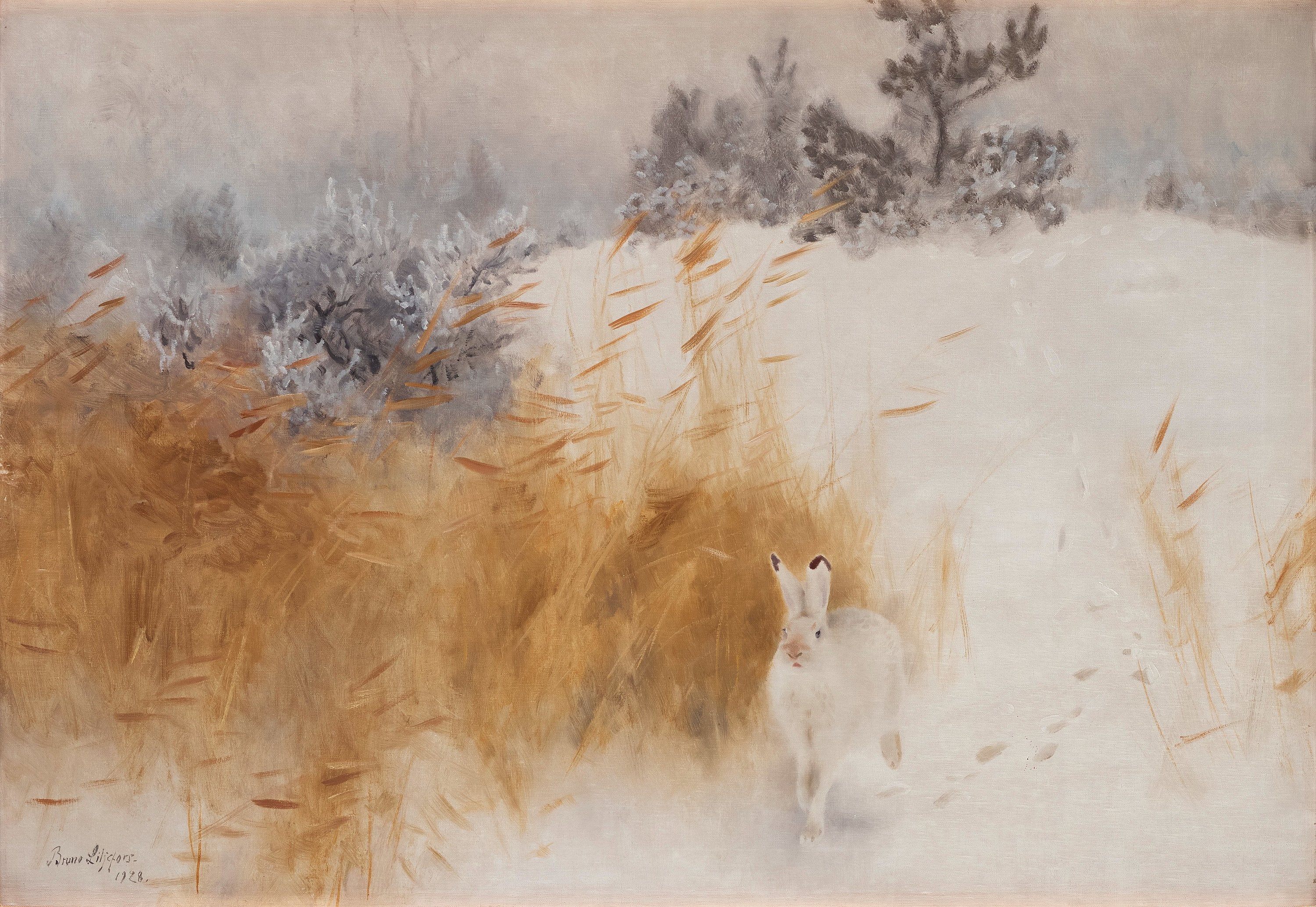 Winterhase - Bruno Liljefors