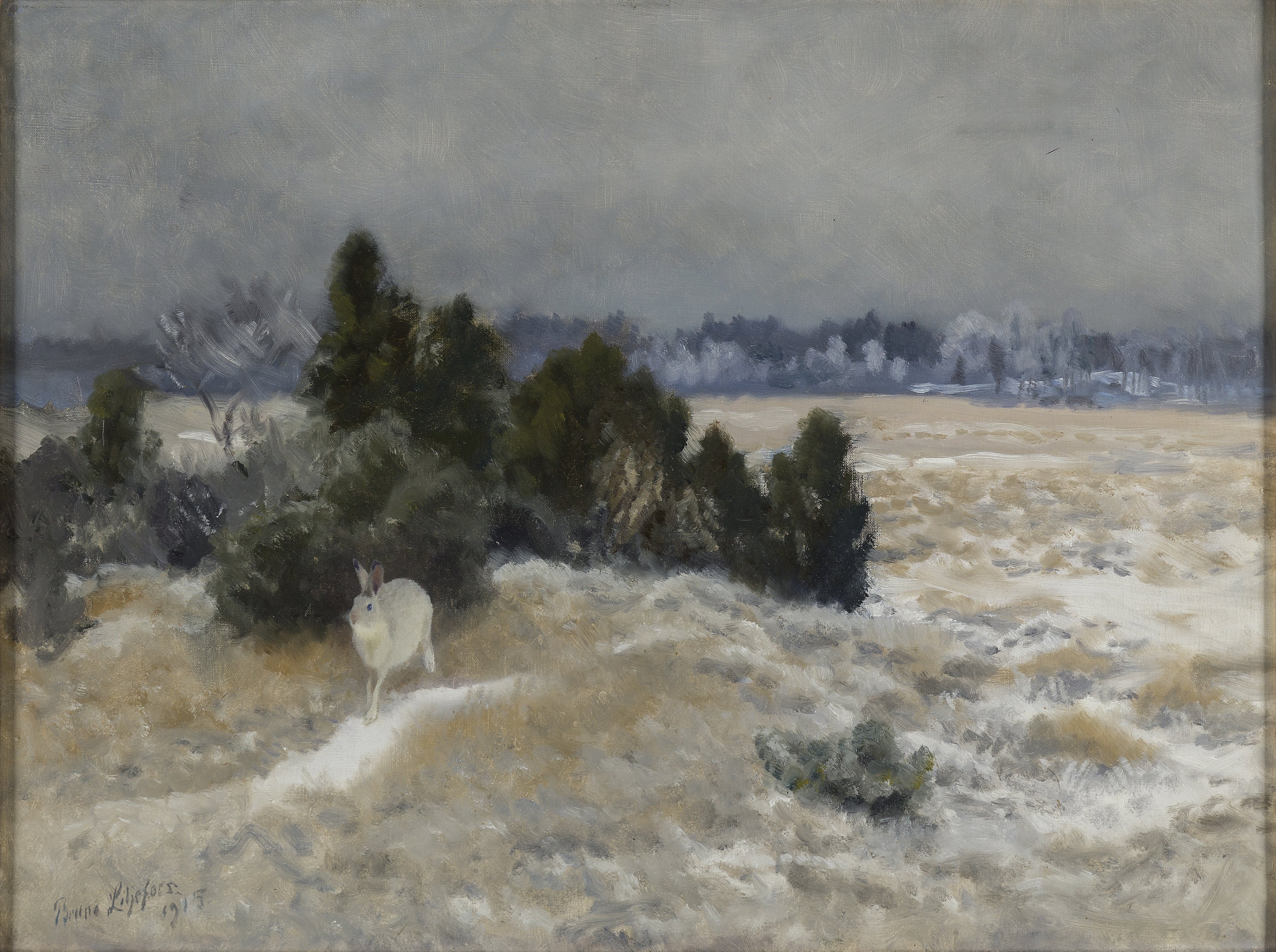 Winterhase - Bruno Liljefors