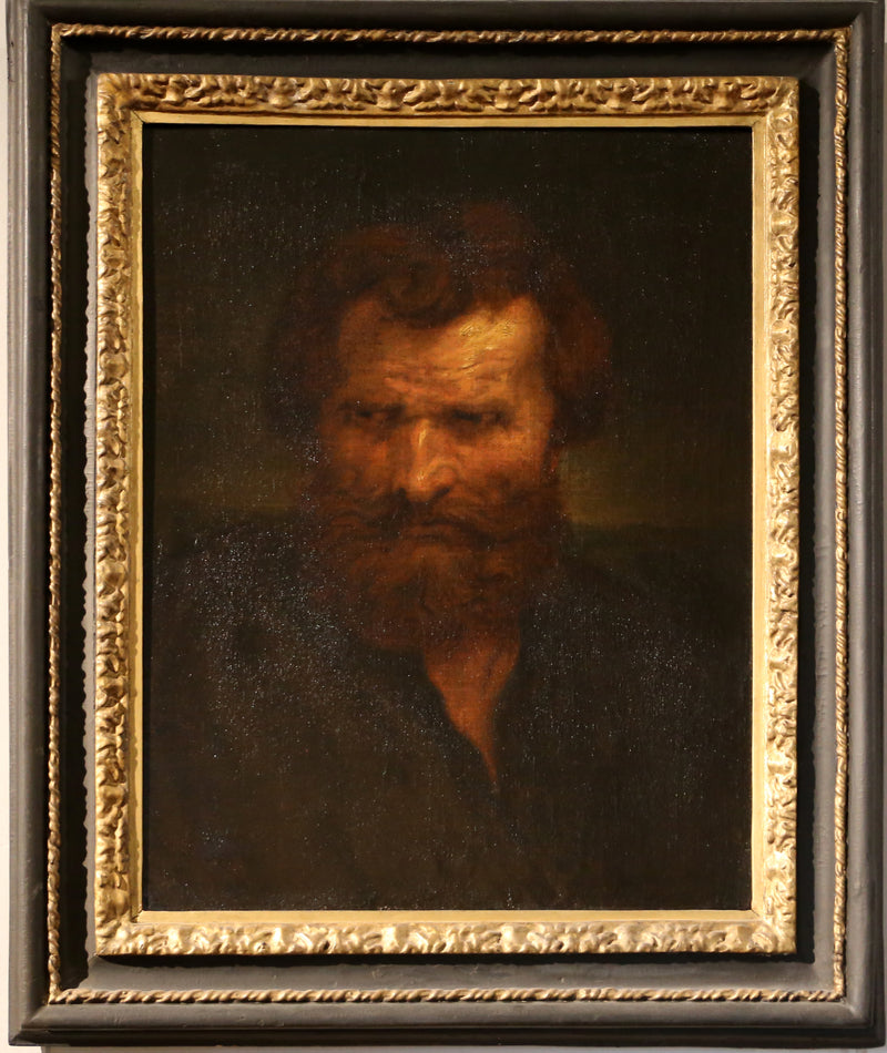 Tête d'homme - Jacob Jordaens