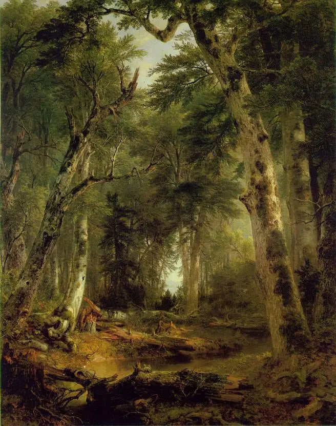 Im Wald - Asher Brown Durand