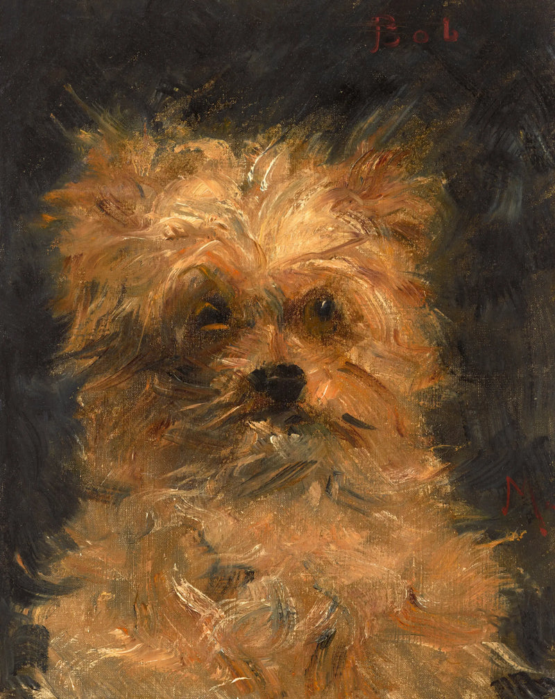 Bob, Griffonhund - Édouard Manet