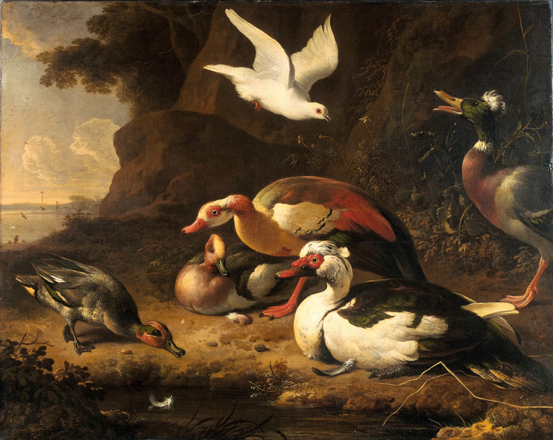 Enten - Melchior de Hondecoeter
