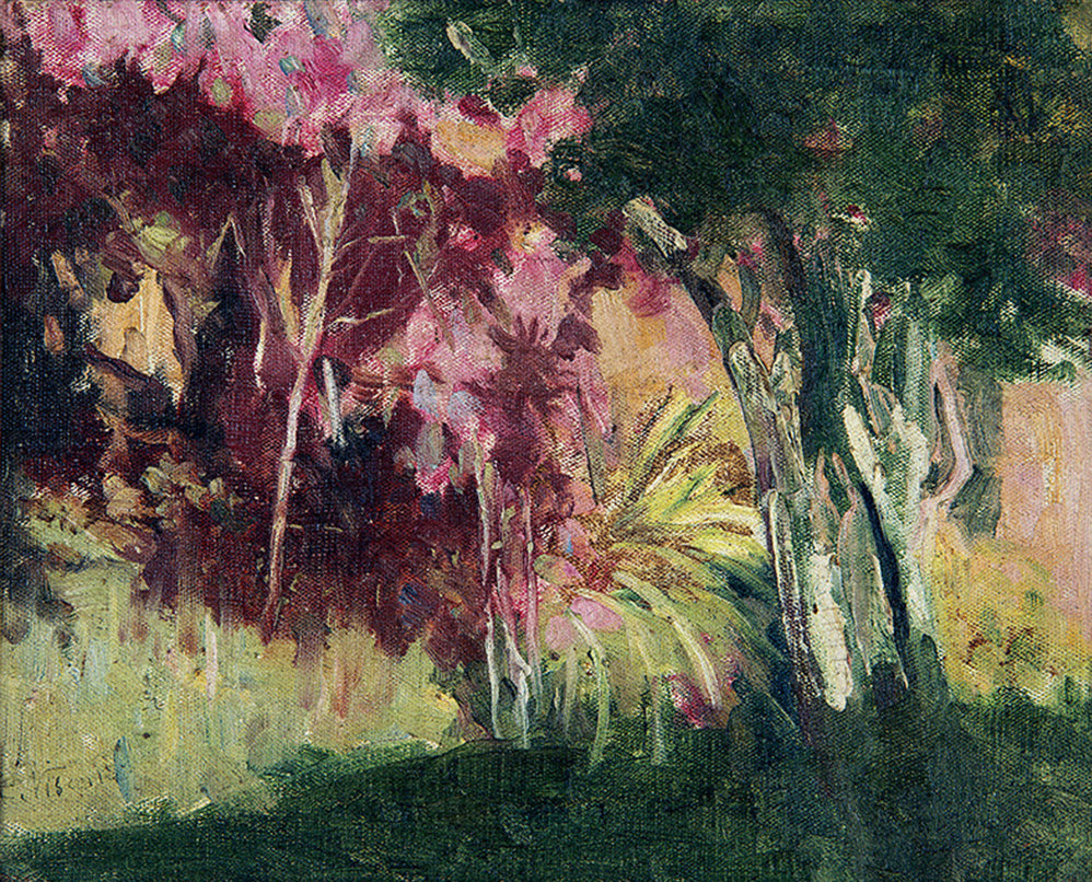 Jardin tropical - Eliseu Visconti