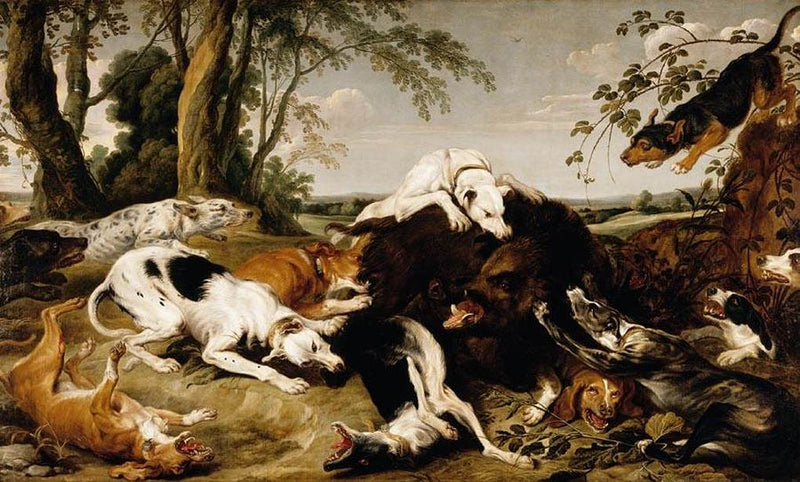 Des chiens abattent un sanglier - Frans Snyders