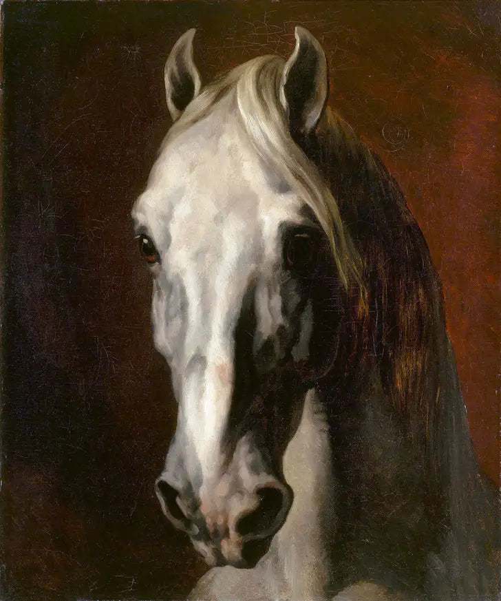 Weißes Pferd - Théodore Géricault