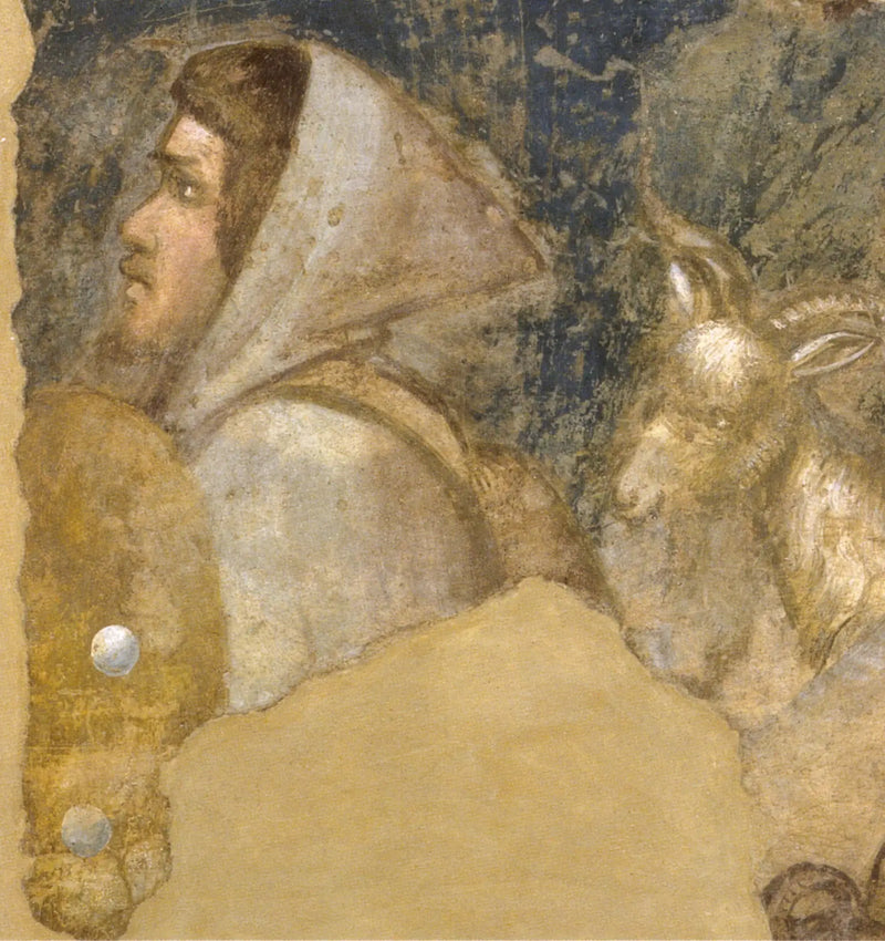 Schäferkopf - Giotto