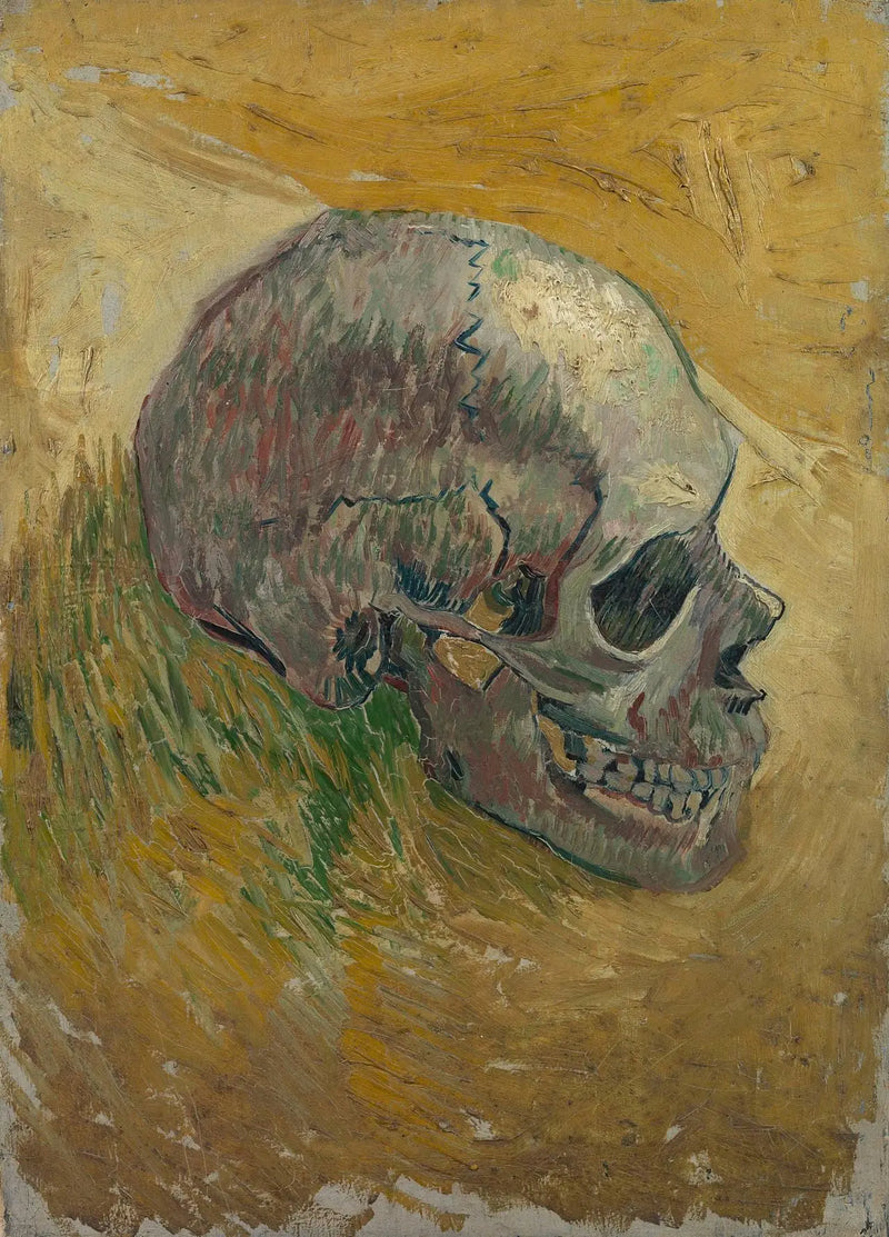 Schädel eines Skeletts - Vincent van Gogh