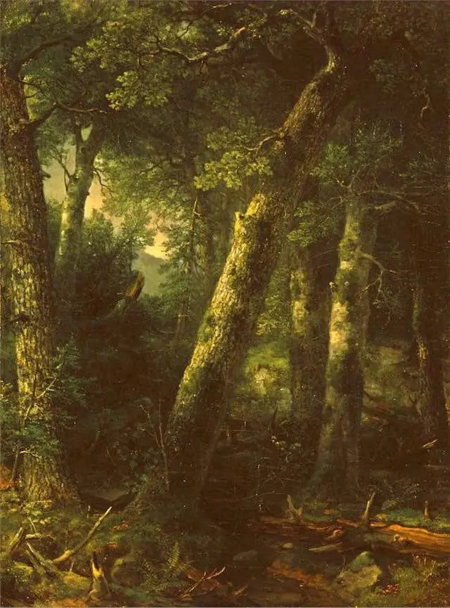 Wald im Morgenlicht - Asher Brown Durand