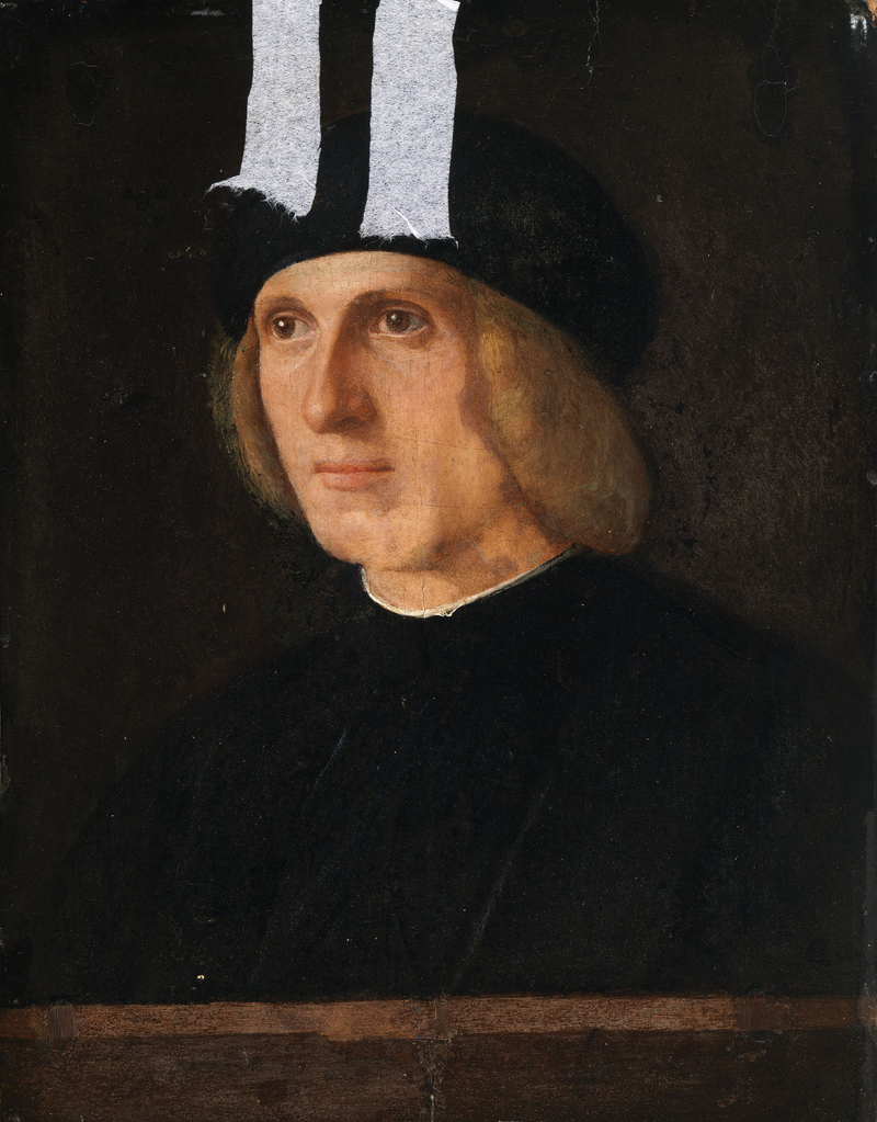 Kopf eines Edelmannes - Giovanni Bellini