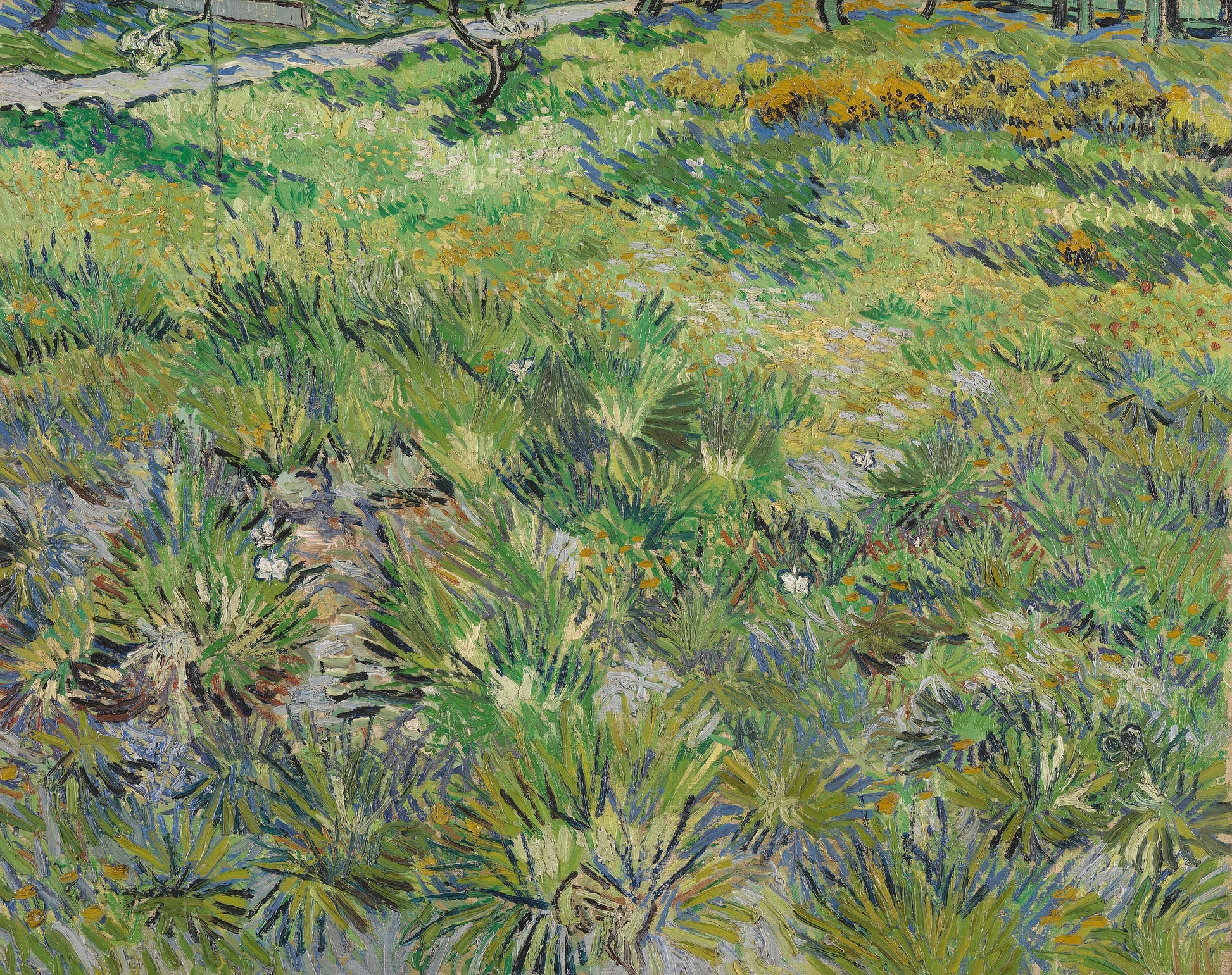 Langes Gras mit Schmetterlingen - Vincent van Gogh