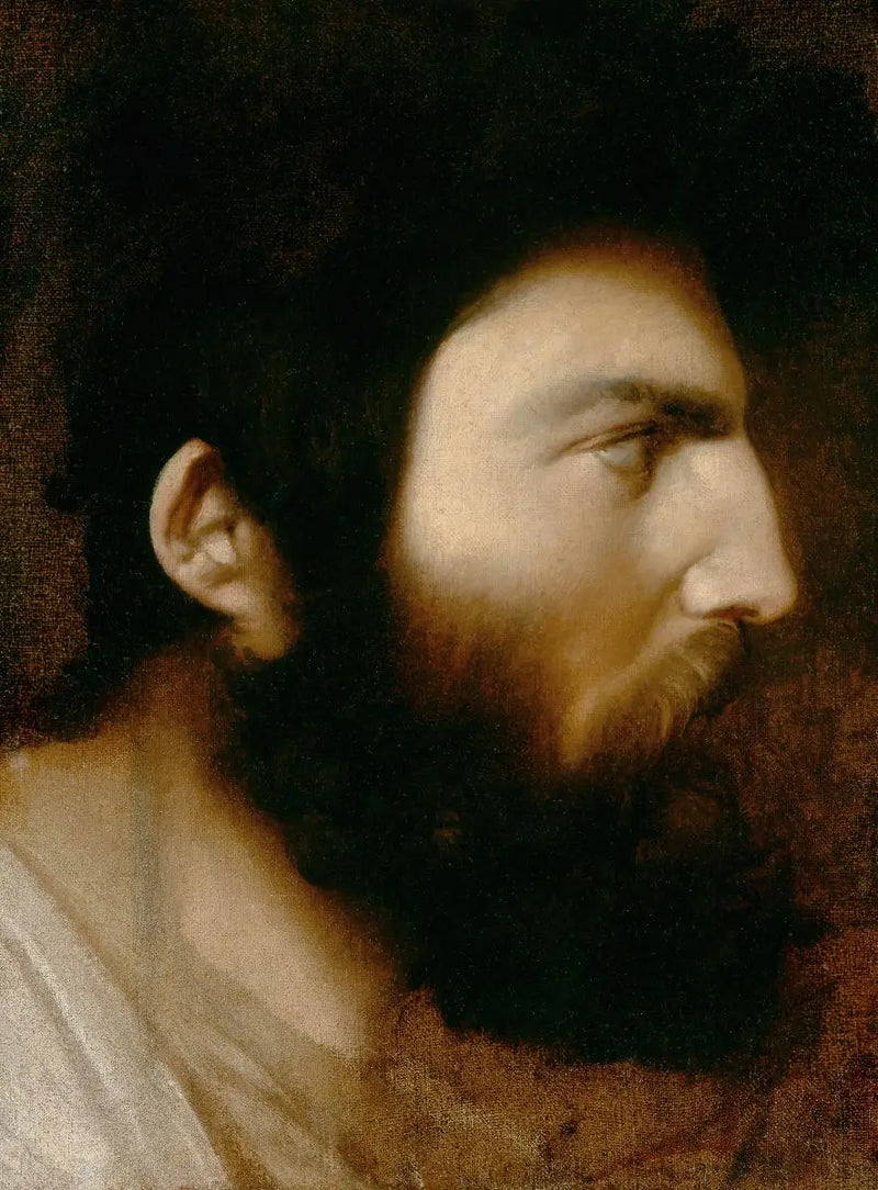 Profil eines bärtigen Mannes - Jean-Auguste-Dominique Ingres