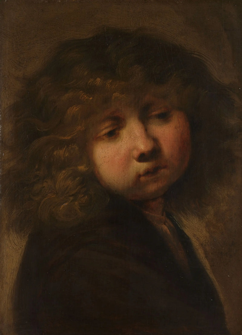 Kopf eines Jungen - Rembrandt