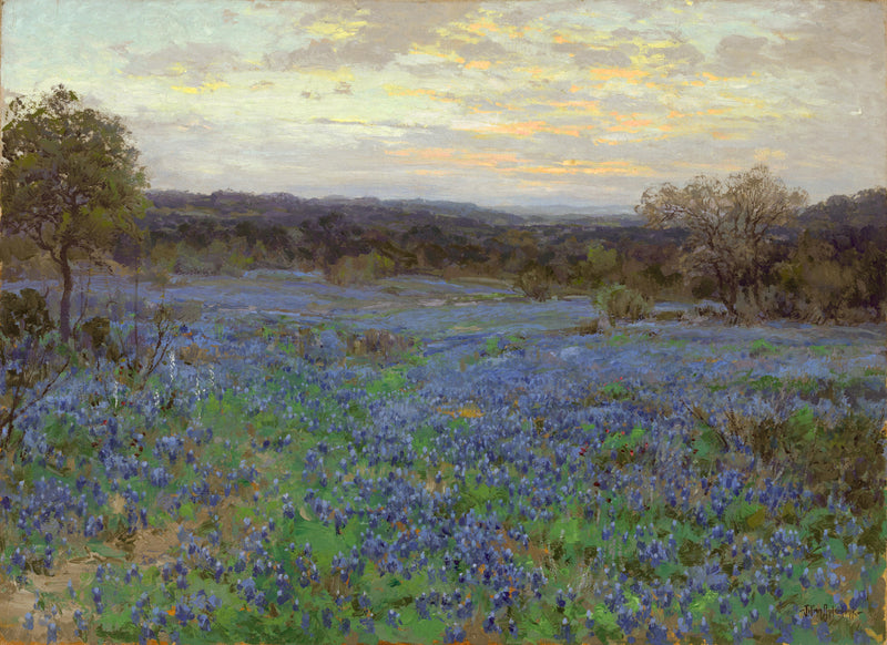 Blaues Lupinenfeld bei Sonnenuntergang – Julian Onderdonk