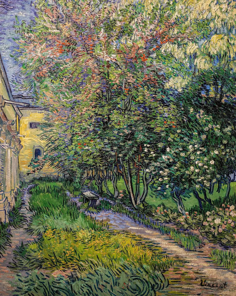 Der Garten der Anstalt von Saint-Rémy - Vincent van Gogh