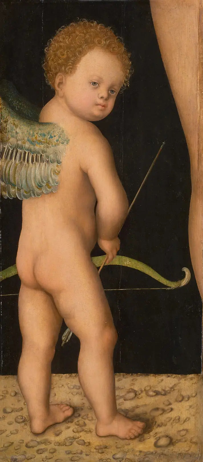 Cupidon - Lucas Cranach der Ältere