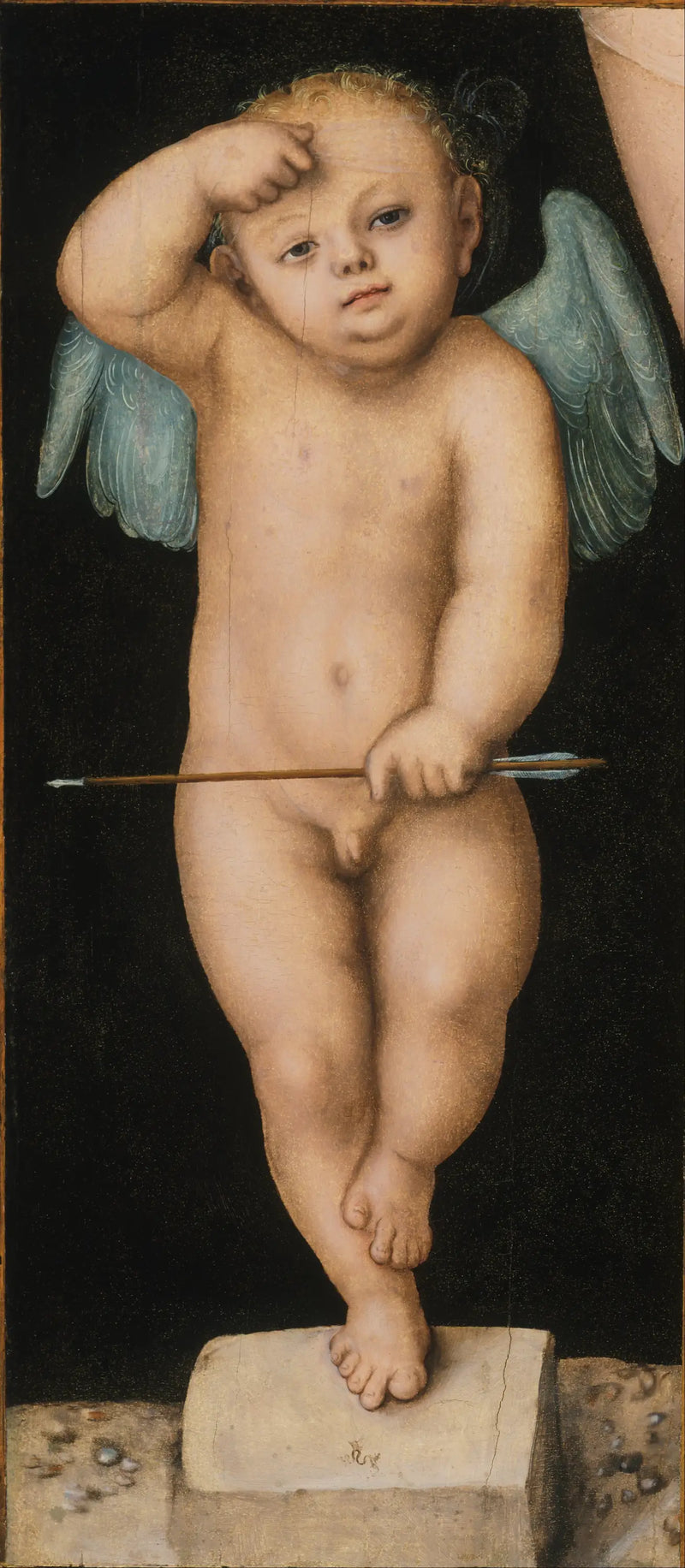 Cupidon - Lucas Cranach der Ältere