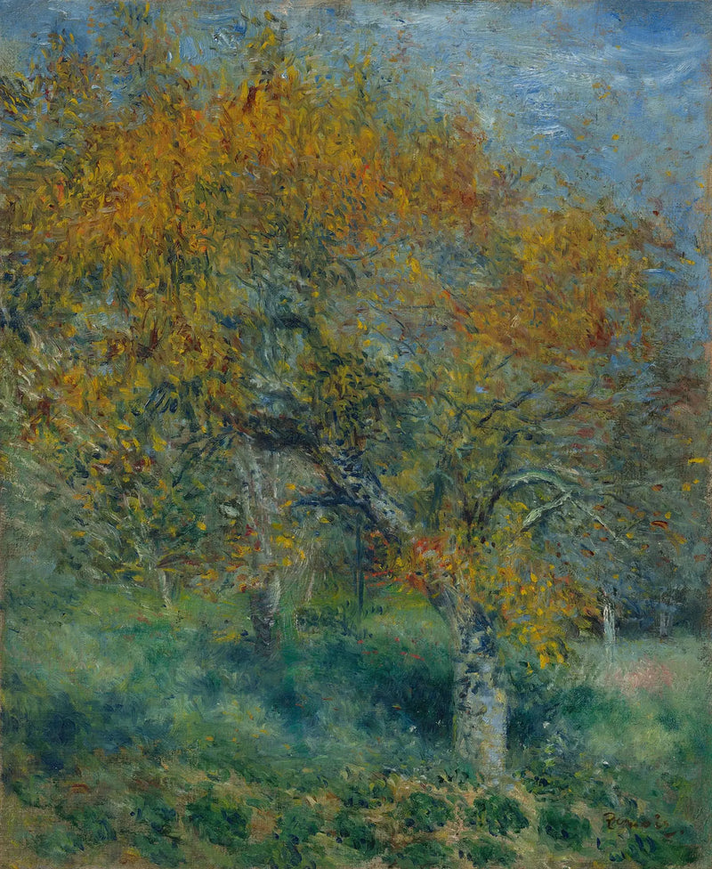 Der Birnbaum - Pierre-Auguste Renoir