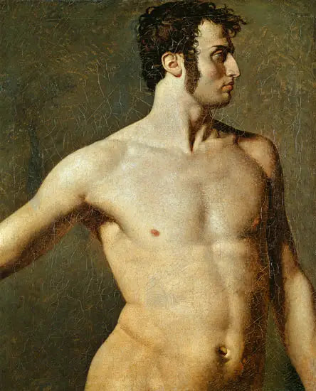 Torso eines Mannes - Jean-Auguste-Dominique Ingres