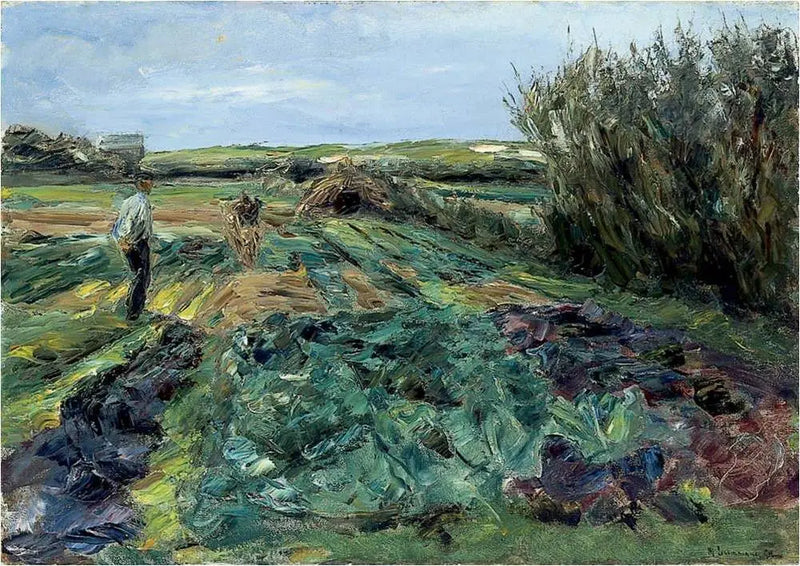 Das Kohlfeld (Kohlfeld in Noordwijk) - Max Liebermann