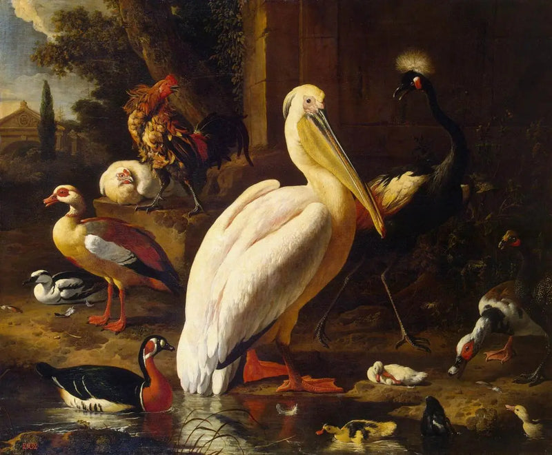 Vögel in einem Park - Melchior de Hondecoeter