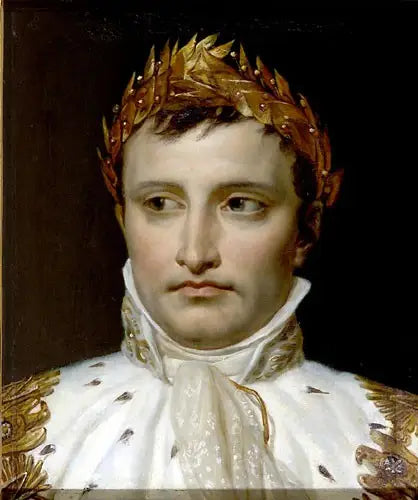 Napoleon, gekröntes Haupt - Jacques-Louis David