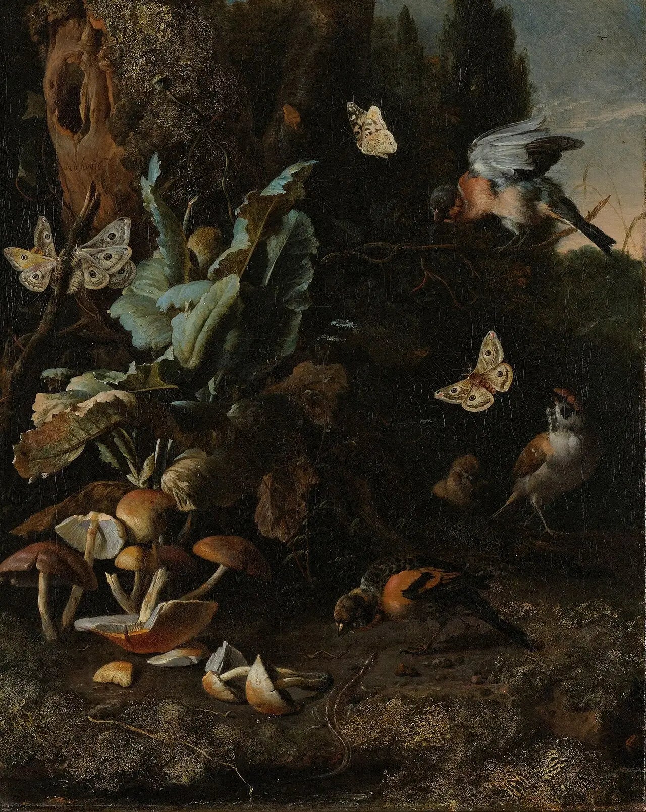 Animaux et plantes - Melchior de Hondecoeter - Alpha Reproduction