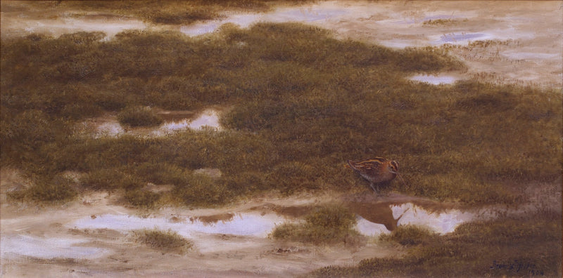 Schnepfe - Bruno Liljefors