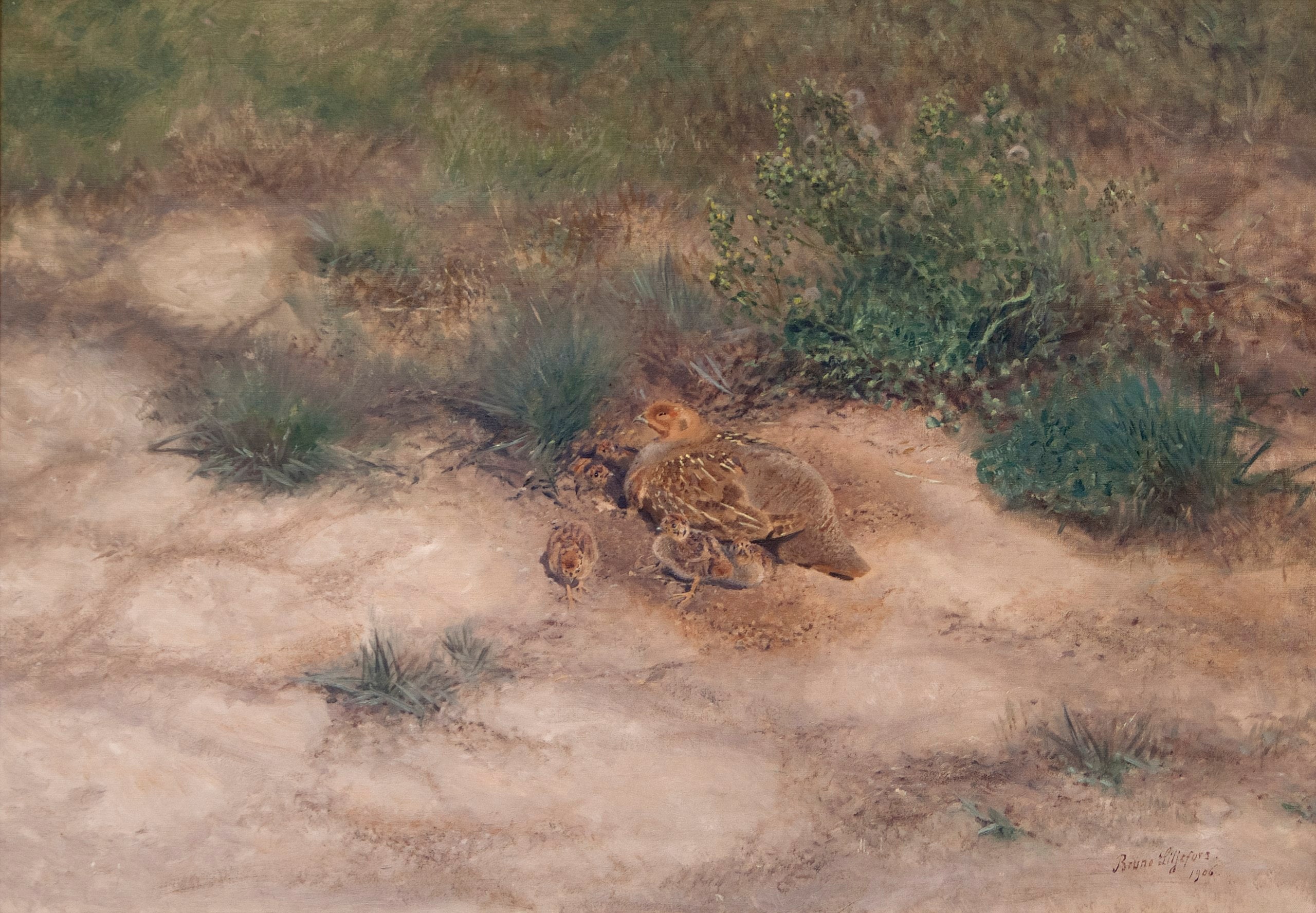 Rebhühnerbrut - Bruno Liljefors